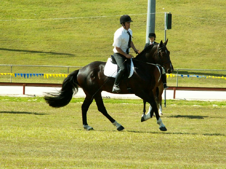 pict0130.jpg